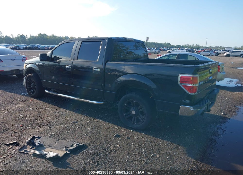 2010 FORD F-150 XLT VIN: 1FTEW1C83AKA16808