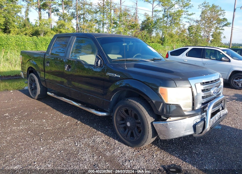 2010 FORD F-150 XLT VIN: 1FTEW1C83AKA16808