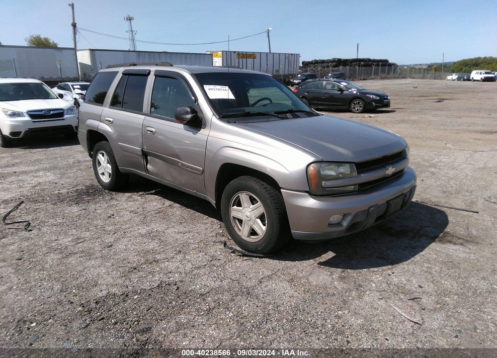 2002 CHEVROLET TRAILBLAZER LTZ VIN: 1GNDS13S822136874