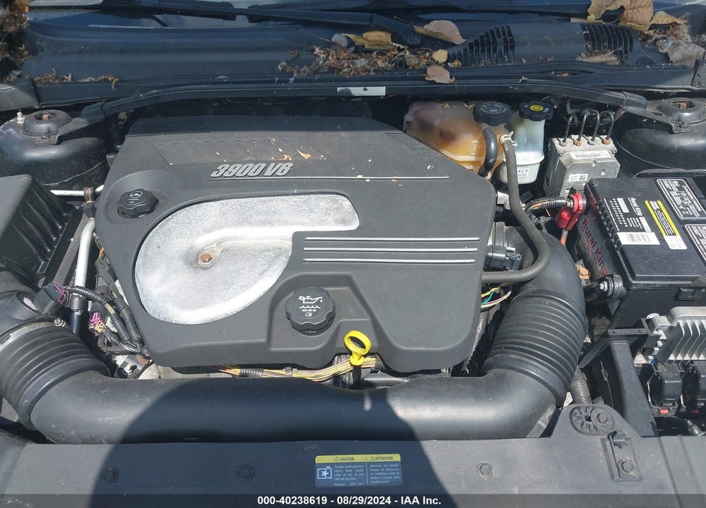 2006 CHEVROLET MALIBU SS VIN: 1G1ZW53156F245351