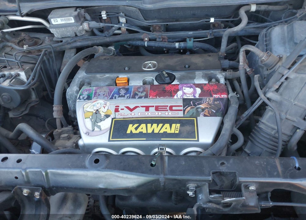 2006 HONDA ELEMENT EX-P VIN: 5J6YH28726L001791