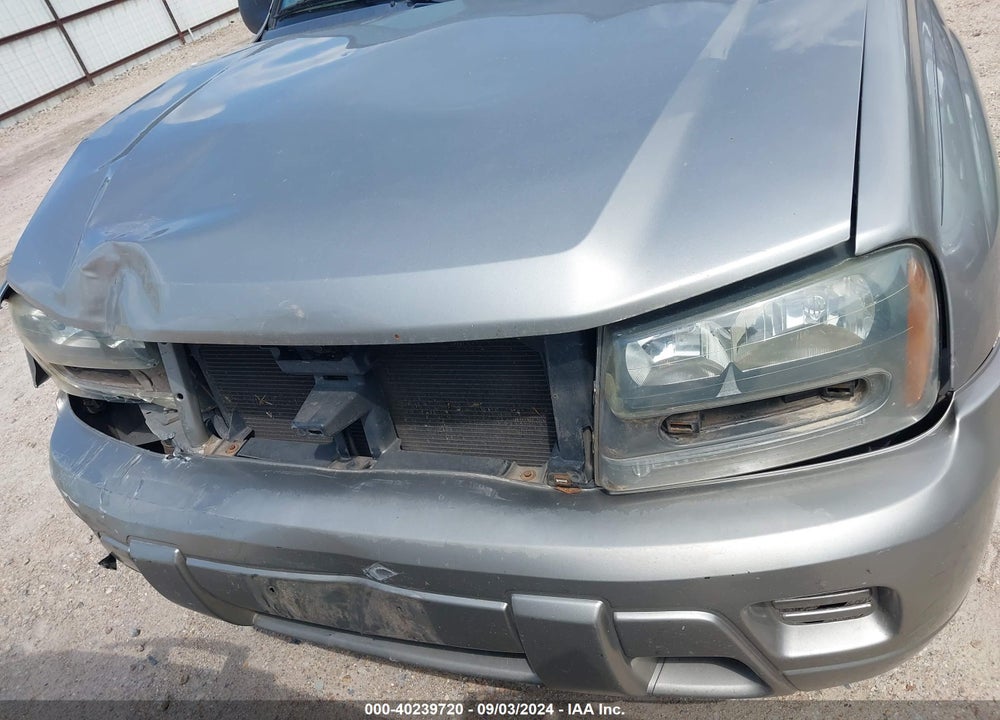 2002 CHEVROLET TRAILBLAZER LS VIN: 1GNDS13S222482595