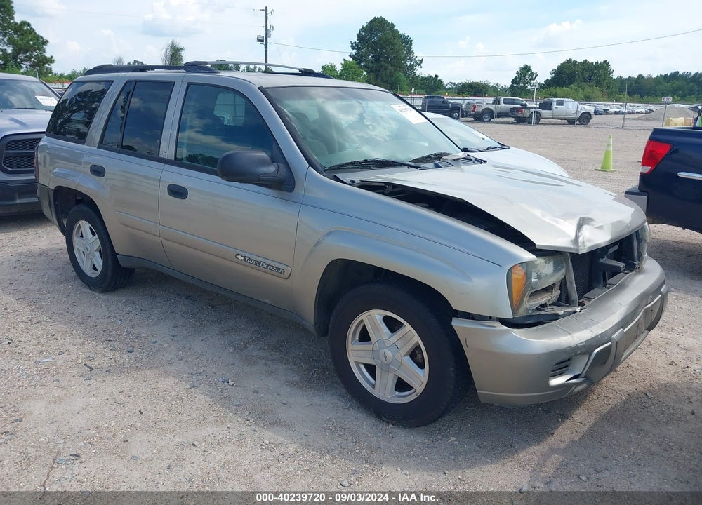 2002 CHEVROLET TRAILBLAZER LS VIN: 1GNDS13S222482595