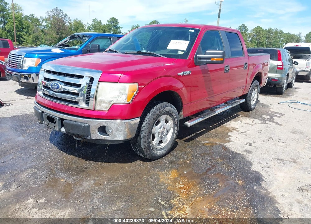 2010 FORD F-150 XL/XLT VIN: 1FTEW1E81AFA06512