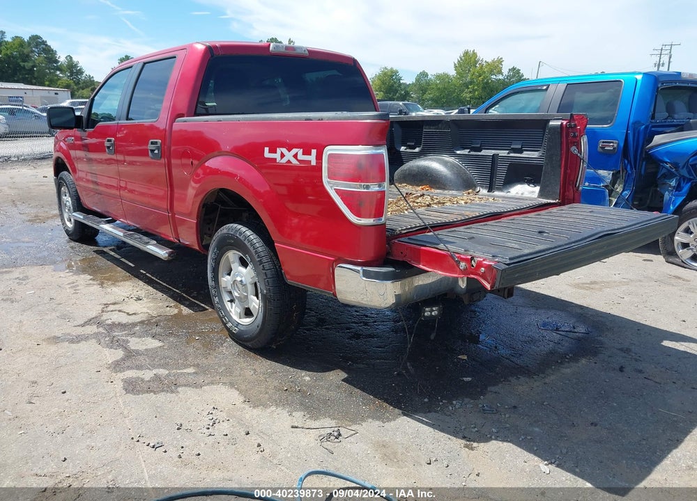 2010 FORD F-150 XL/XLT VIN: 1FTEW1E81AFA06512