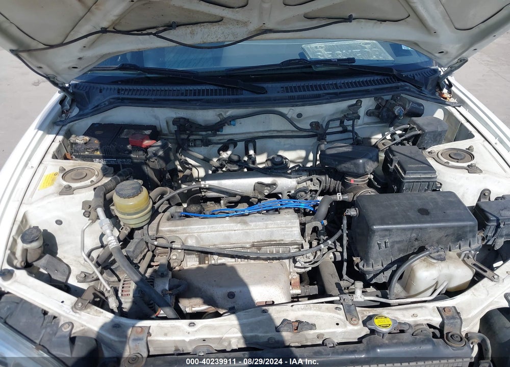 1999 TOYOTA RAV4 VIN: JT3GP10VXX7056920