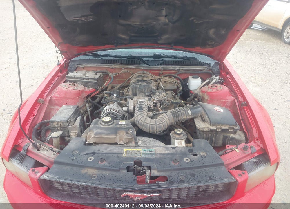 2006 FORD MUSTANG V6 VIN: 1ZVFT80N665186776