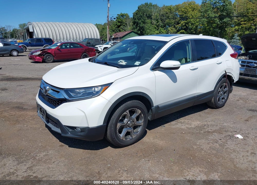 2019 HONDA CR-V EX VIN: 5J6RW2H5XKL037344
