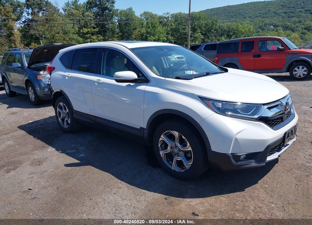 2019 HONDA CR-V EX VIN: 5J6RW2H5XKL037344