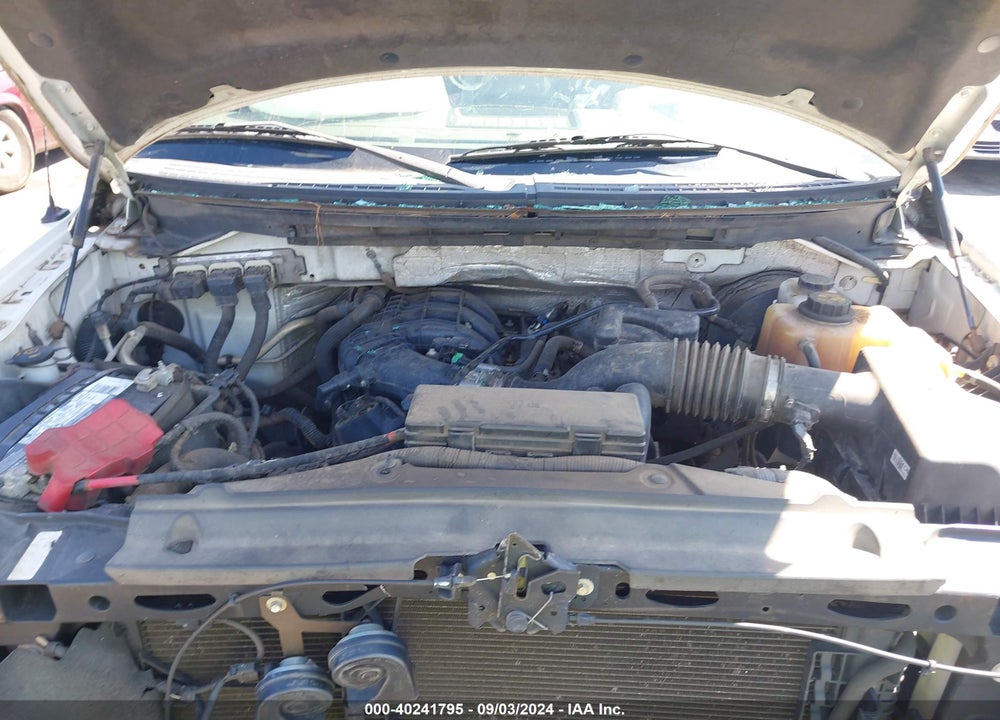 2013 FORD F-150 XL VIN: 1FTMF1CM5DKD92715