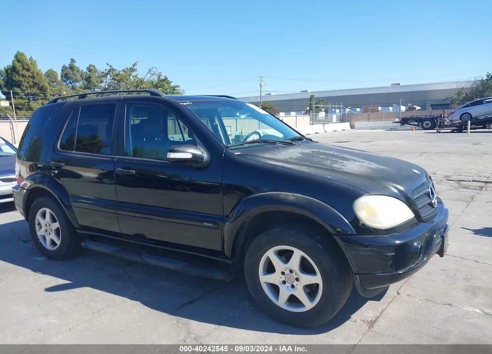 2002 MERCEDES-BENZ ML 320 VIN: 4JGAB54E92A332206