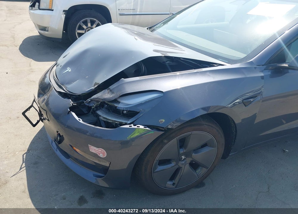 2023 TESLA MODEL 3 REAR-WHEEL DRIVE VIN: 5YJ3E1EA0PF710811