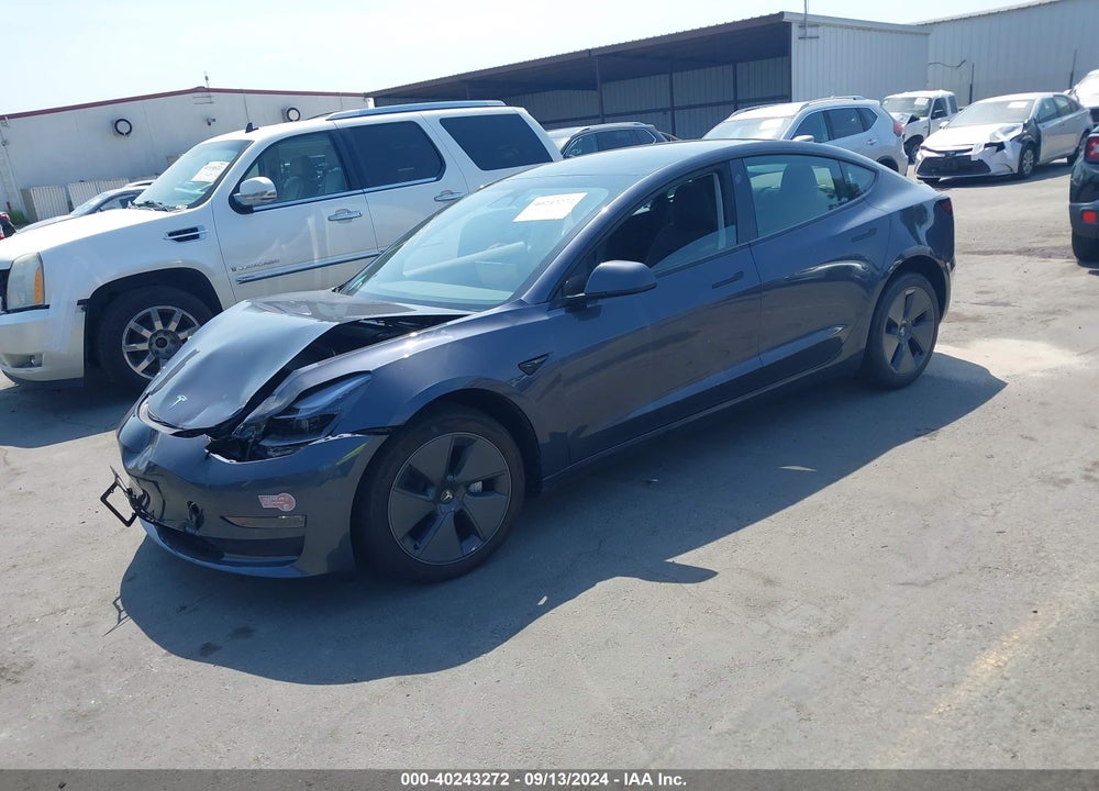 2023 TESLA MODEL 3 REAR-WHEEL DRIVE VIN: 5YJ3E1EA0PF710811