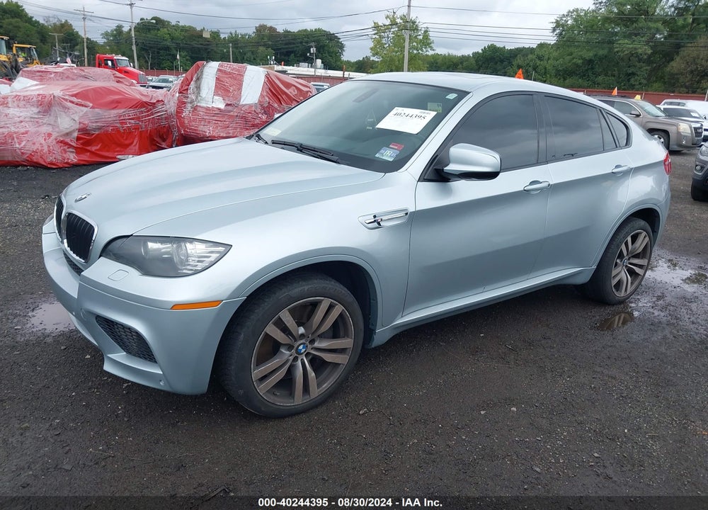 2010 BMW X6 M VIN: 5YMGZ0C57ALK13417