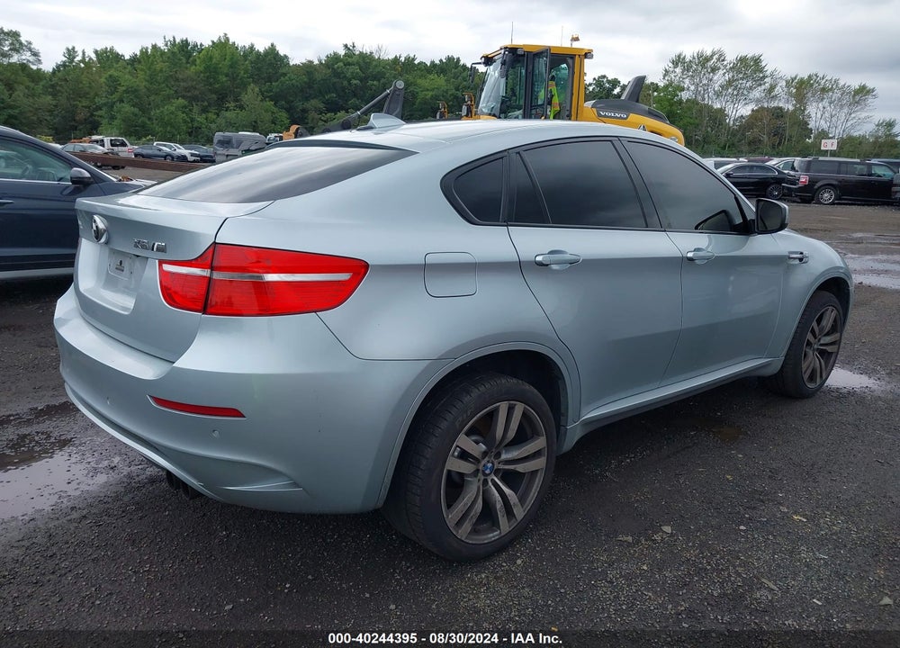2010 BMW X6 M VIN: 5YMGZ0C57ALK13417