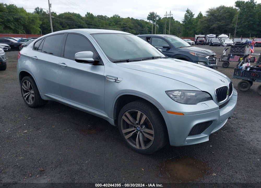 2010 BMW X6 M VIN: 5YMGZ0C57ALK13417