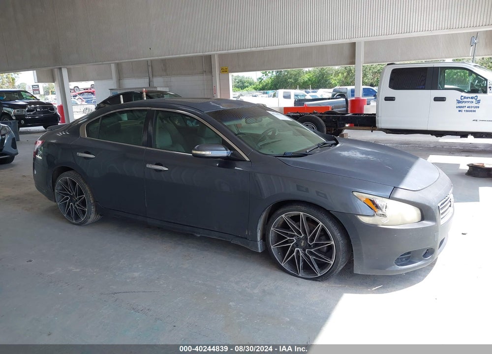 2009 NISSAN MAXIMA 3.5 SV VIN: 1N4AA51E19C813809