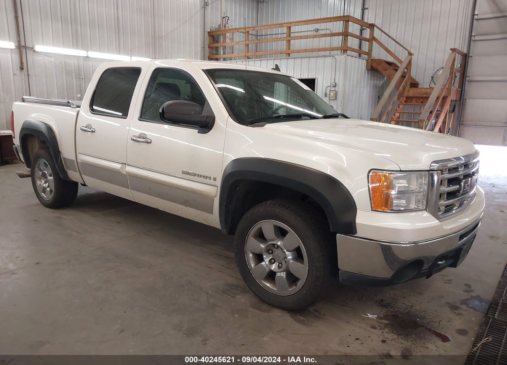 2009 GMC SIERRA 1500 SLT VIN: 3GTEK33M09G166933