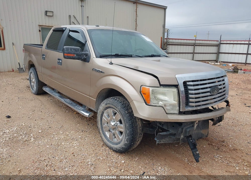 2011 FORD F-150 XLT VIN: 1FTFW1CF1BKD99877