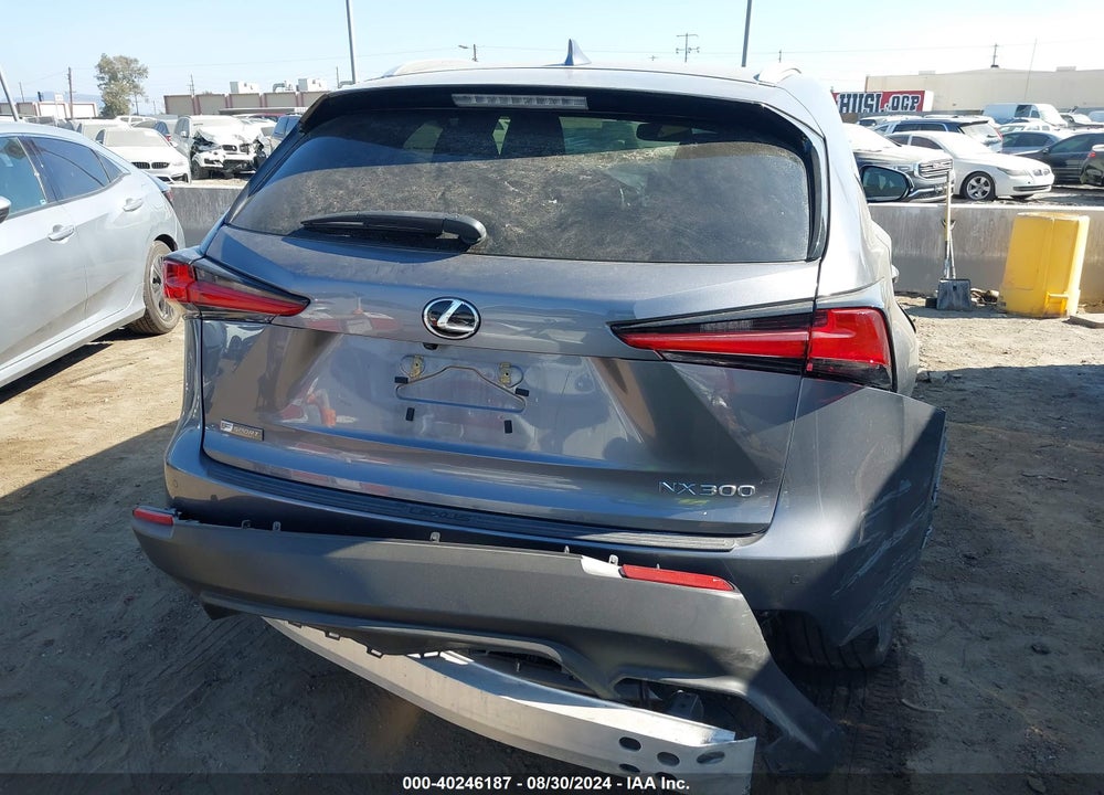 2019 LEXUS NX 300 F-SPORT VIN: JTJYARBZ6K2138954