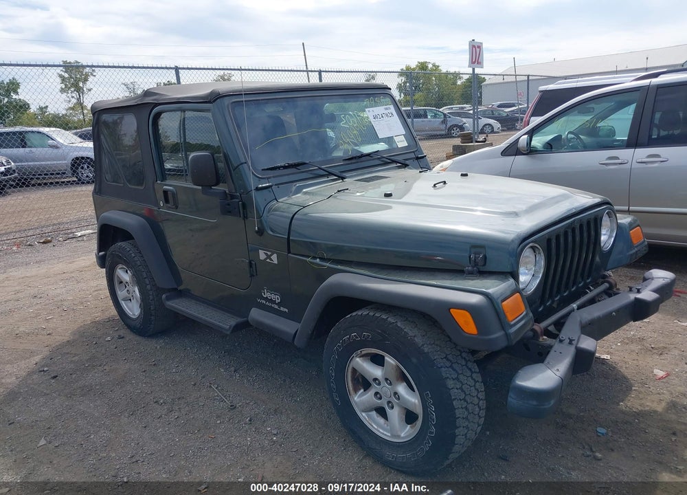 2003 JEEP WRANGLER X VIN: 1J4FA39S63P377323