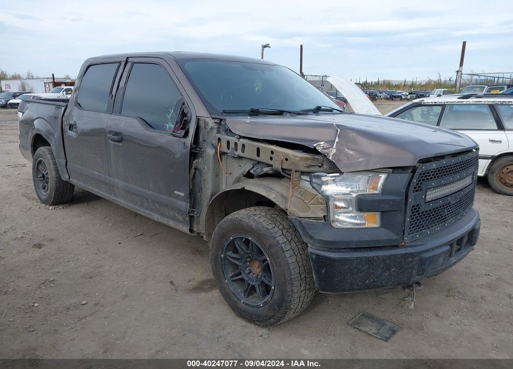 2016 FORD F-150 XL VIN: 1FTEW1EP7GFB84523
