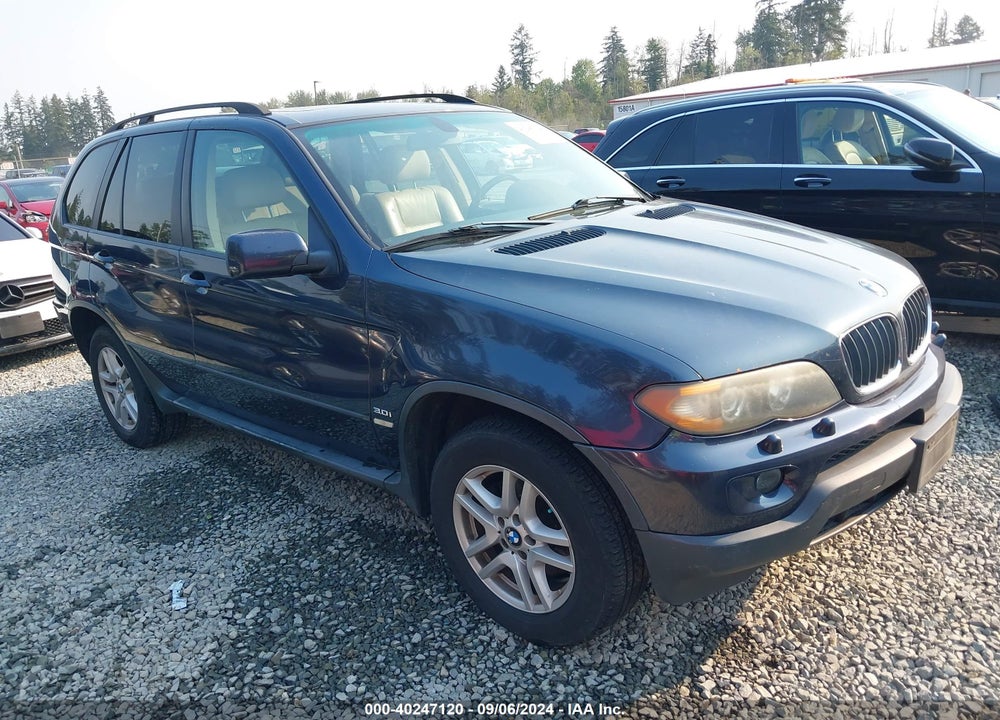 2006 BMW X5 3.0I VIN: 5UXFA13586LY34463
