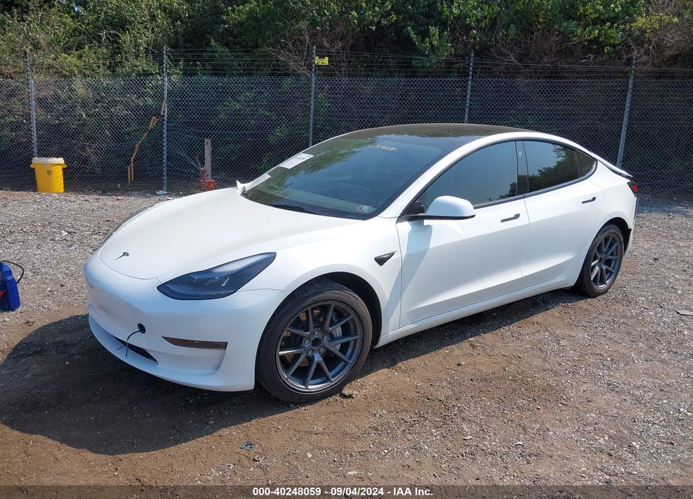 2023 TESLA MODEL 3 REAR-WHEEL DRIVE VIN: 5YJ3E1EA3PF453983