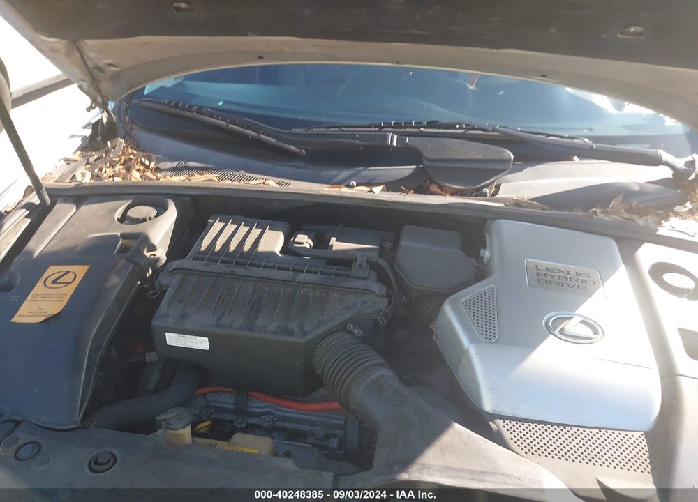 2007 LEXUS RX 400H VIN: JTJHW31U172013968