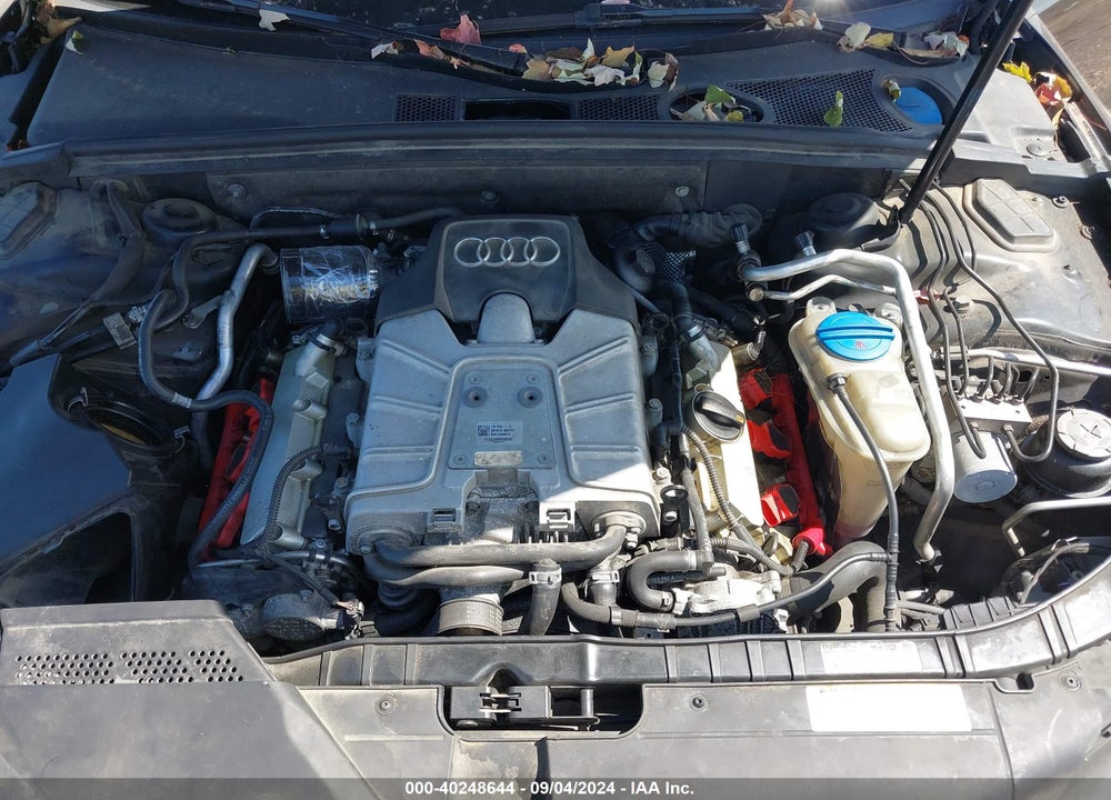 2011 AUDI S5 3.0 PREMIUM PLUS VIN: WAUCGAFH9BN009150