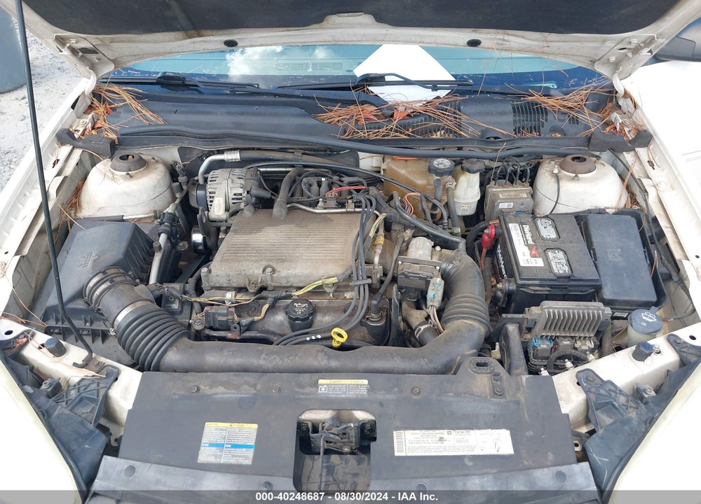2005 CHEVROLET MALIBU LS VIN: 1G1ZT54825F113778