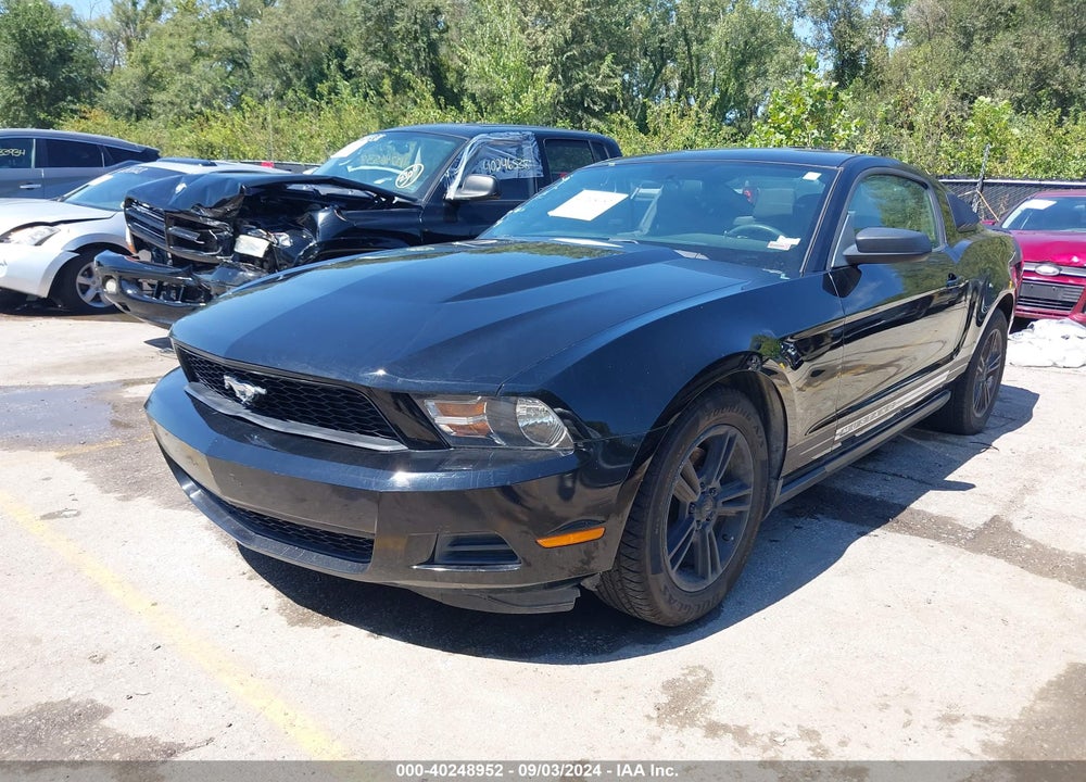 2012 FORD MUSTANG V6 VIN: 1ZVBP8AM6C5223104