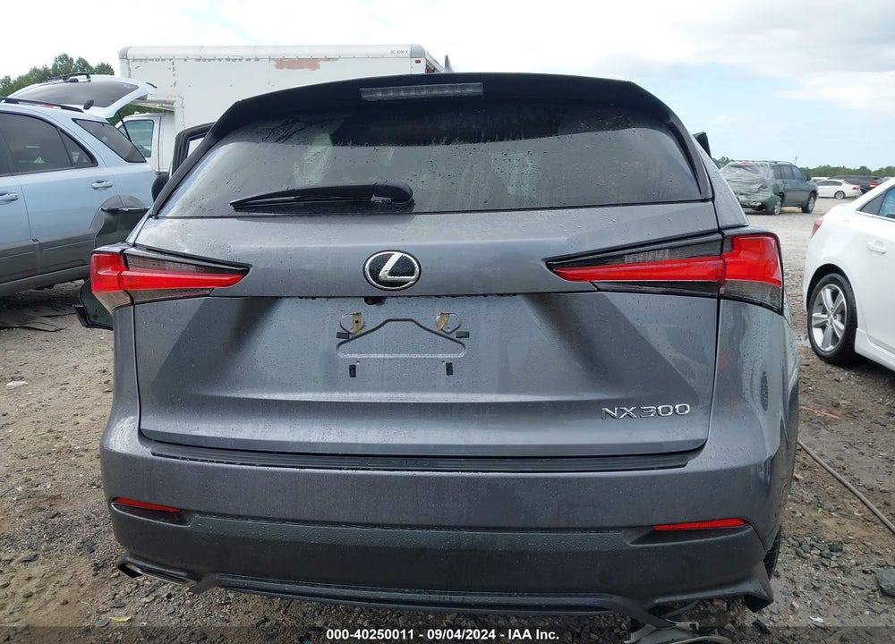 2020 LEXUS NX 300 VIN: JTJAARBZ2L2161862