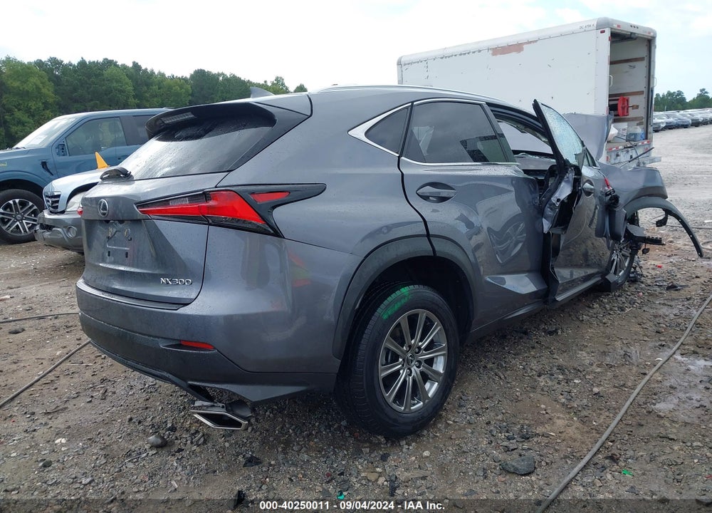 2020 LEXUS NX 300 VIN: JTJAARBZ2L2161862