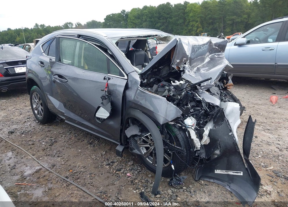 2020 LEXUS NX 300 VIN: JTJAARBZ2L2161862