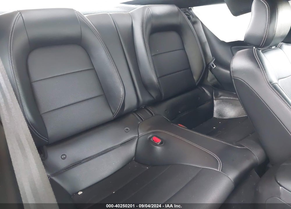 2021 FORD MUSTANG GT PREMIUM FASTBACK VIN: 1FA6P8CF9M5119121