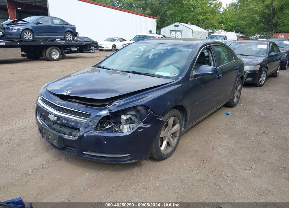 2011 CHEVROLET MALIBU 1LT VIN: 1G1ZC5E19BF339779