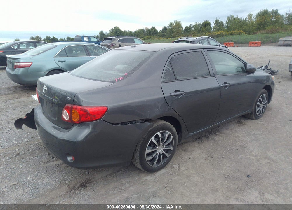 2010 TOYOTA COROLLA VIN: JTDBU4EE7AJ055596