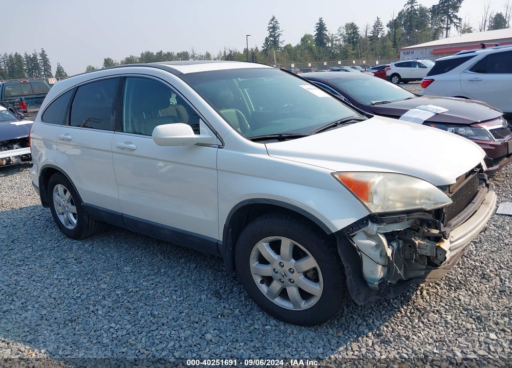 2009 HONDA CR-V EX-L VIN: 5J6RE48799L028127