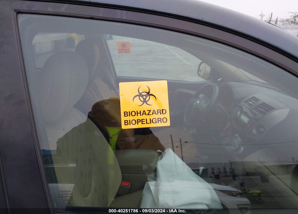 2011 TOYOTA RAV4 VIN: 2T3BF4DV6BW109842