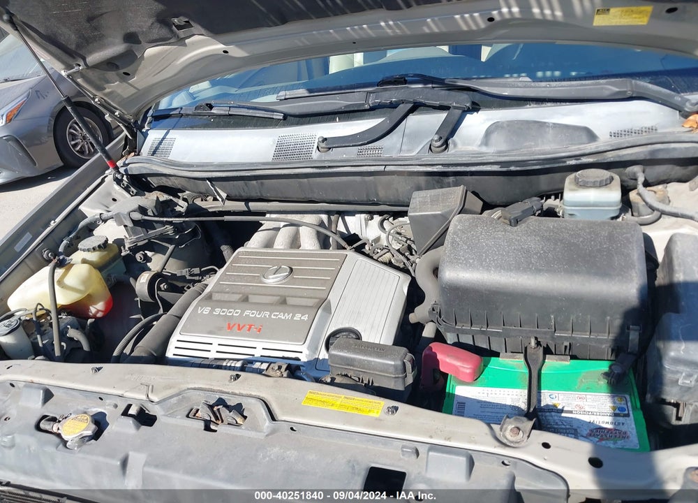 2002 LEXUS RX 300 VIN: JTJGF10U320124737