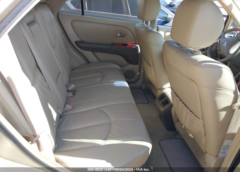 2002 LEXUS RX 300 VIN: JTJGF10U320124737