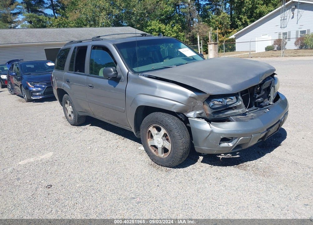 2006 CHEVROLET TRAILBLAZER LS VIN: 1GNDT13S462162603