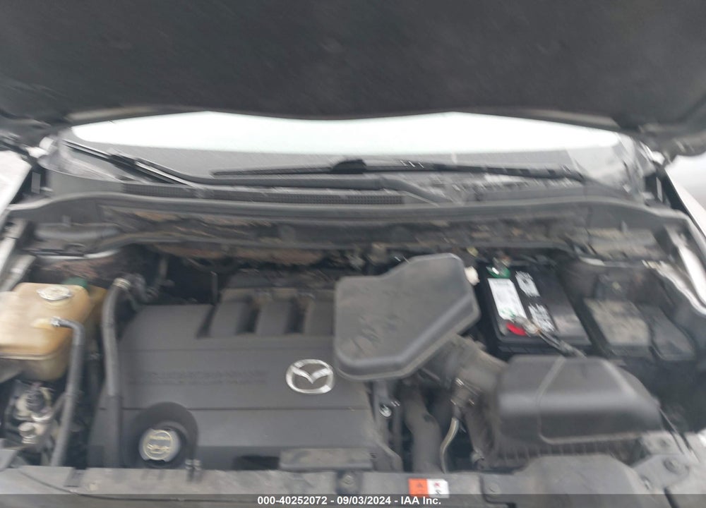 2010 MAZDA CX-9 TOURING VIN: JM3TB2MV1A0206316