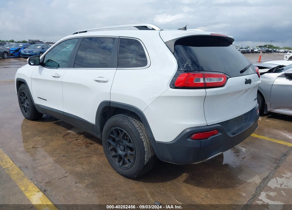 2014 JEEP CHEROKEE LIMITED VIN: 1C4PJLDS6EW256267