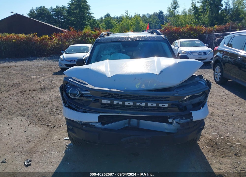 2021 FORD BRONCO SPORT BADLANDS VIN: 3FMCR9D9XMRA41561