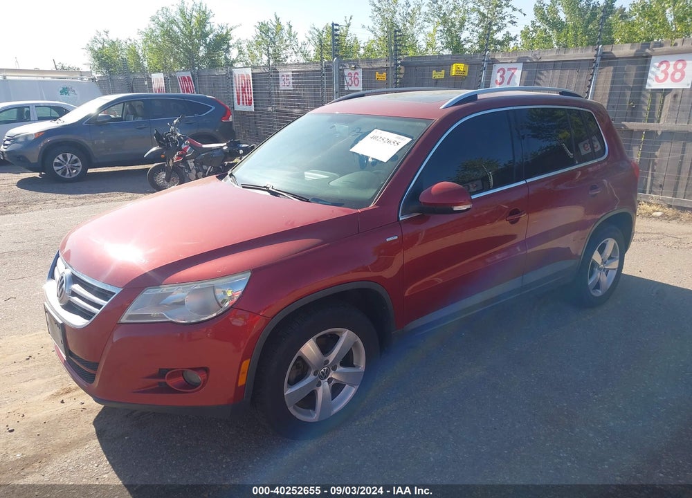 2010 VOLKSWAGEN TIGUAN WOLFSBURG EDITION VIN: WVGBV9AX4AW003214