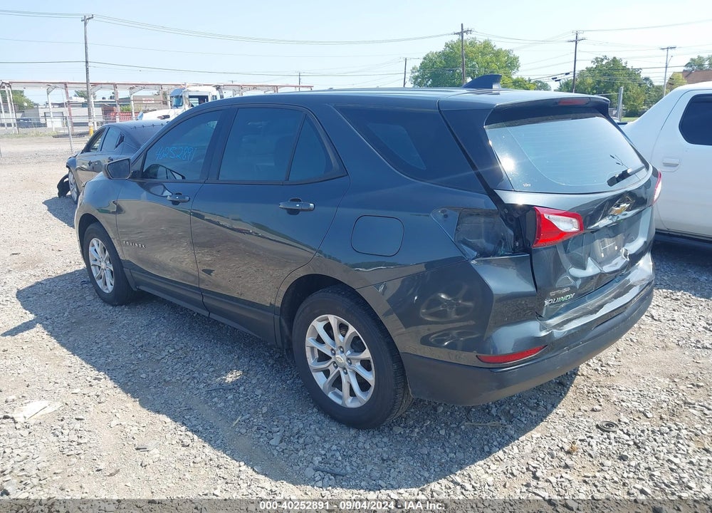 2019 CHEVROLET EQUINOX LS VIN: 3GNAXHEVXKS638052