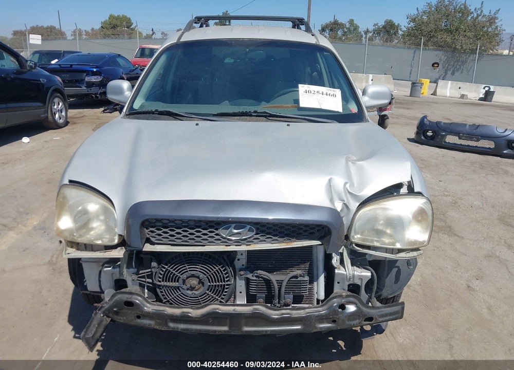 2003 HYUNDAI SANTA FE VIN: KM8SB12B63U356548