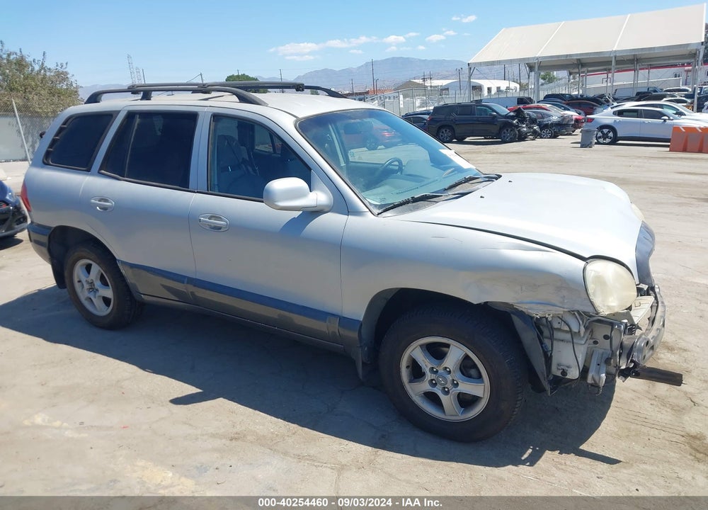 2003 HYUNDAI SANTA FE VIN: KM8SB12B63U356548